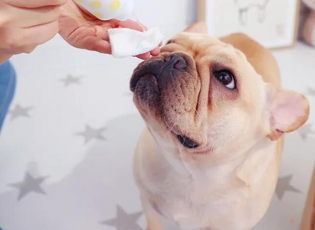 寵物用品進口報關(guān)關(guān)稅稅率（寵物用品進口關(guān)稅是多少？）