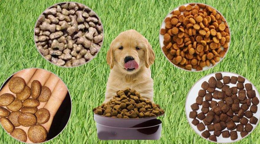 寵物食品進口報關所需手續資質及進口單證